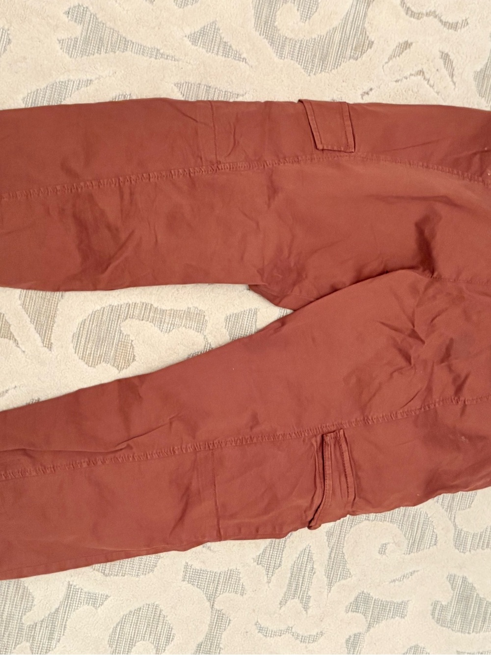 Sanctuary Men's Rust Chino Pants